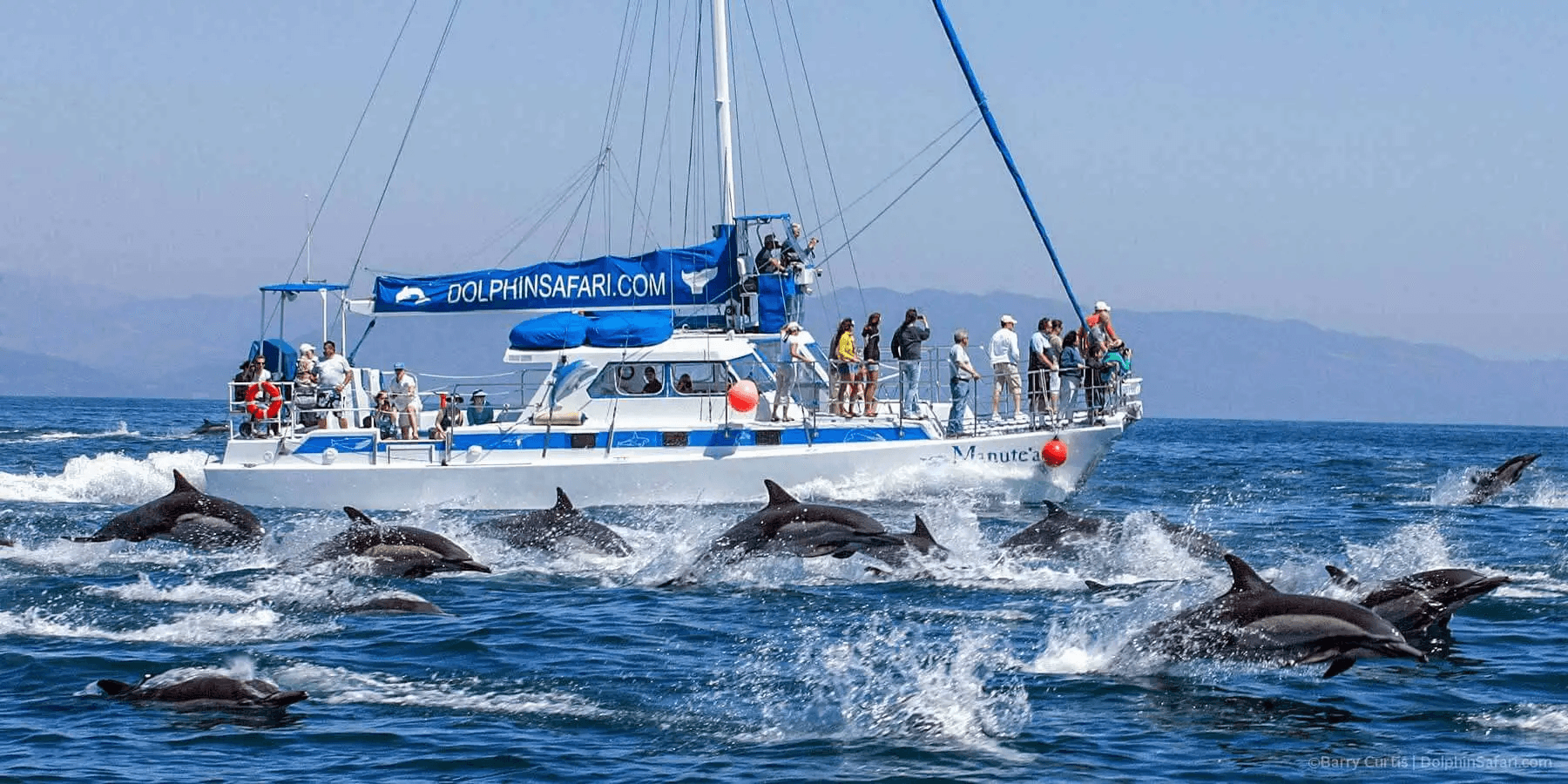 Dolphin watching tours near Treasure Island and Indian Shores beachfront vacation rentals