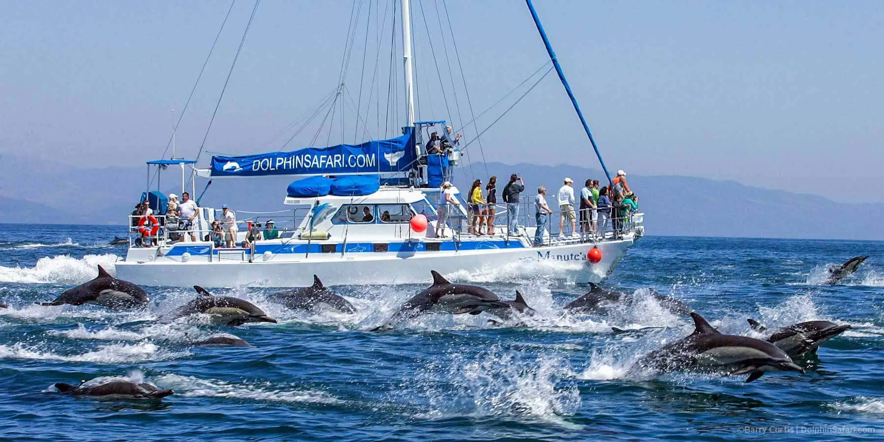 Dolphin watching tours