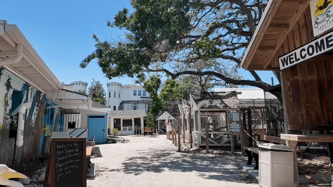 Visit the seaside seabird sanctuary near Treasure Island and Indian Shores beachfront vacation rentals