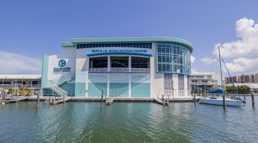 Clearwater Marine Aquarium dolphin complex exterior on the water