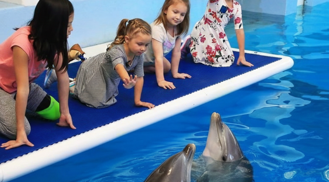 Kids meeting dolphins during a family activity near Treasure Island