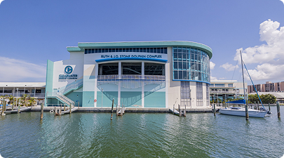 Clearwater Marine Aquarium Florida: Why I Always Recommend It
