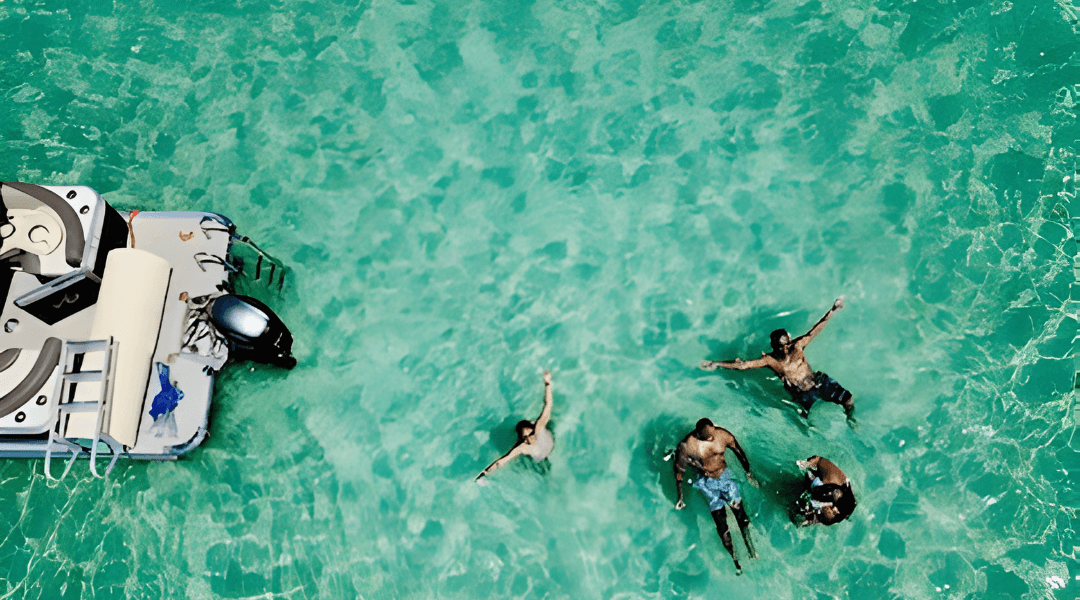 Things to Do in Indian Shores Florida: A Local’s Guide to the Gulf Coast
